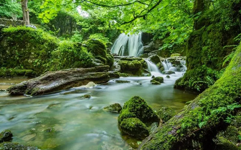 高标准可靠性智能